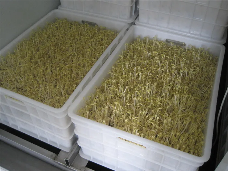 US $1.760.00 factory directly 16 boxes soybean sprouts growing machine mung bean sprout making machine
