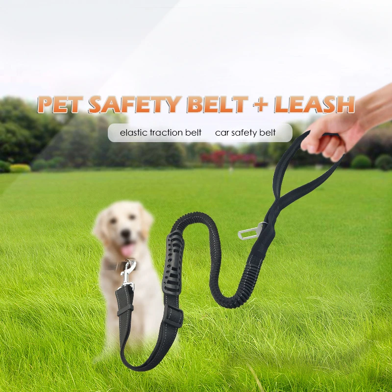 Dropshipping Quality Dog Chain Belt Extendable Dog Lead Puppy Chain Dog