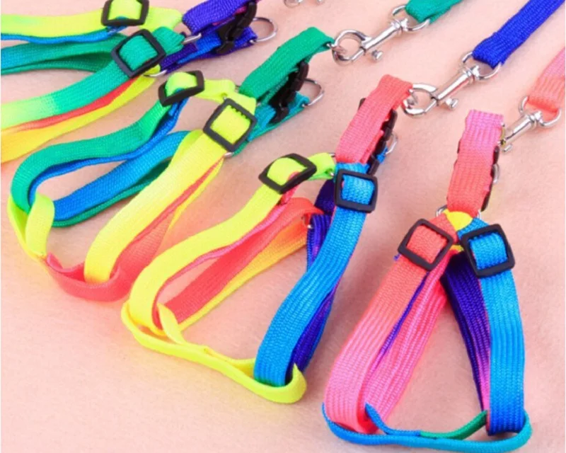 D71_Colorful_Nylon_Dog_Harness_with_leash_lead_Cheap_Rainbow_Small_Puppy_Dogs_Cats_Harness_Set_for_Yorkshire_Pet_Accessories_6