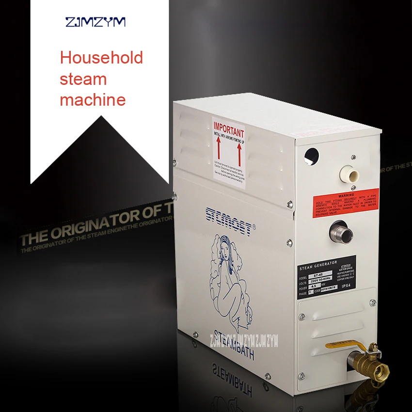 3000W Sauna steam generator sauna sweat steaming machine steaming