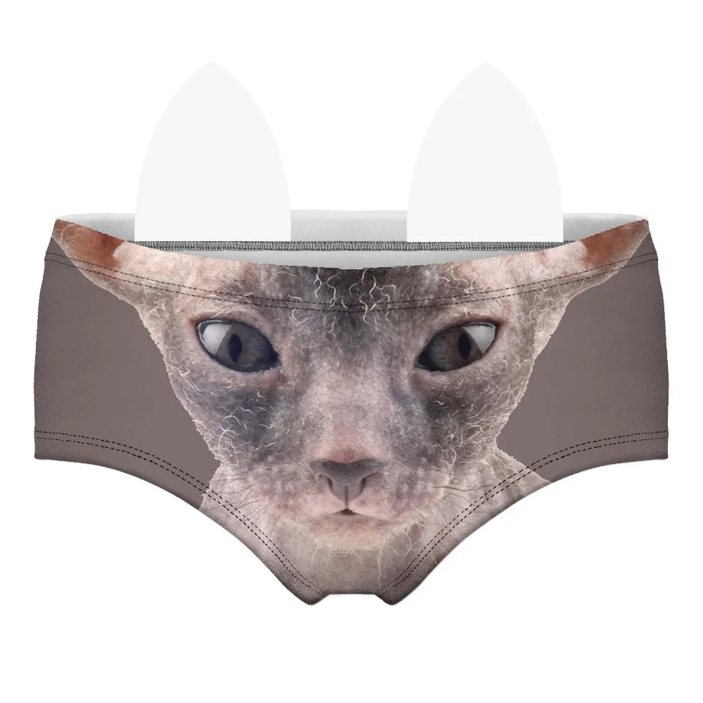 55116 sfinks cat wiz front 