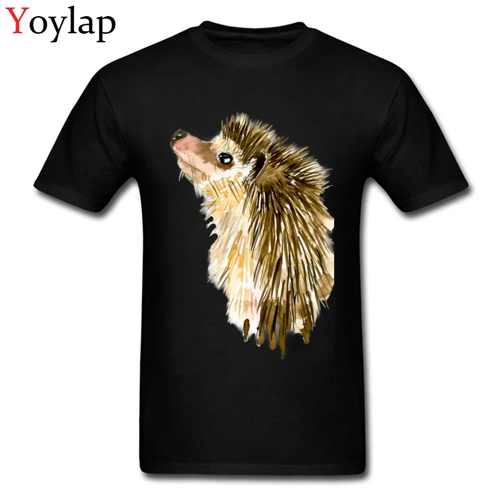 Adult T Shirt Crazy Normal Short Sleeve Summer Fall Tops T Shirt Plain Round Collar 100% Cotton Tee-Shirt Watercolor Little Hedgehog black