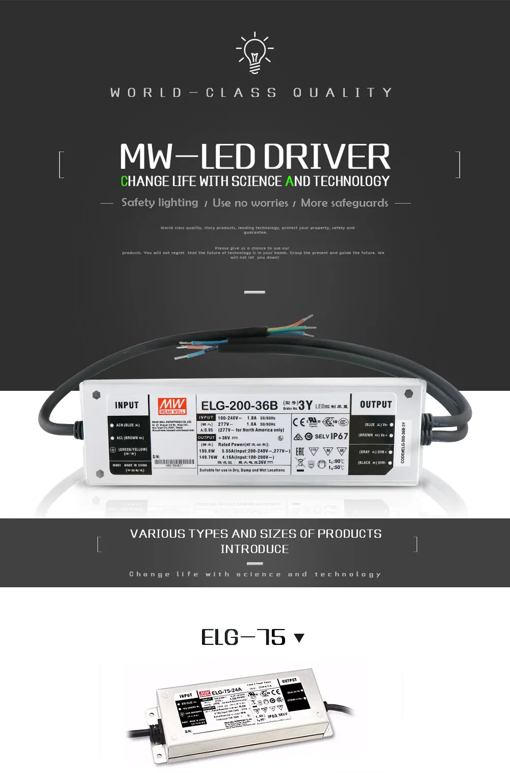WM_01