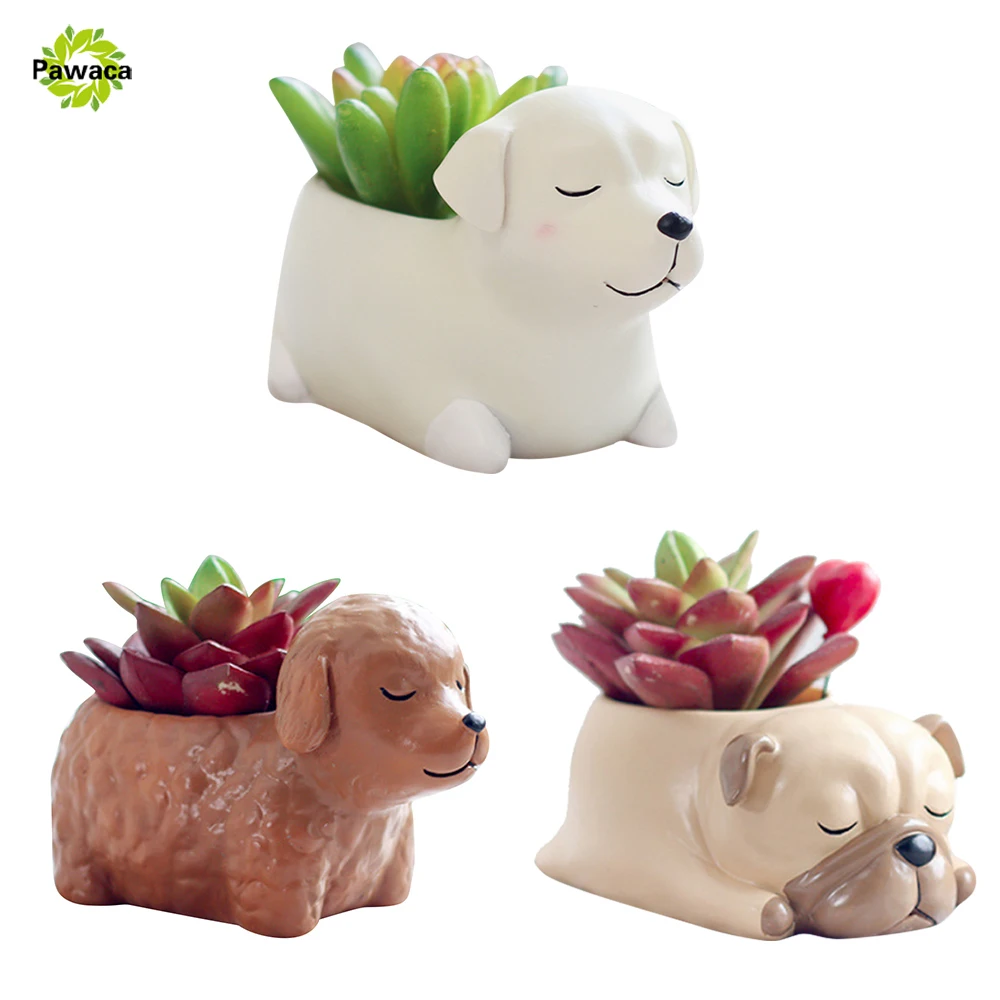 Pawaca Ceramic Small Decorative Flower Pots Lovely Mini Fleshy Flowers