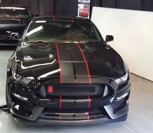 

For Mustang 2 color 5" Twin Rally stripes Stripe Graphics Decals