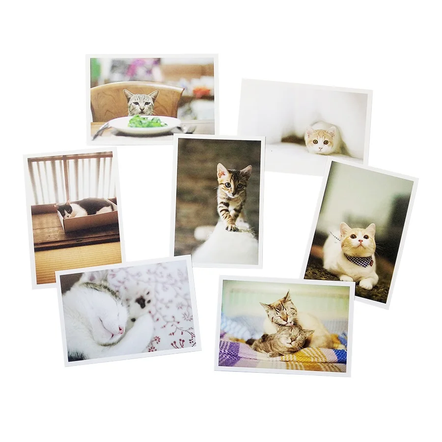 4 пачки/лот визитные карточки студенческий подарок DIY старинные кошки открытки группа сладкие кошки набор поздравительных открыток