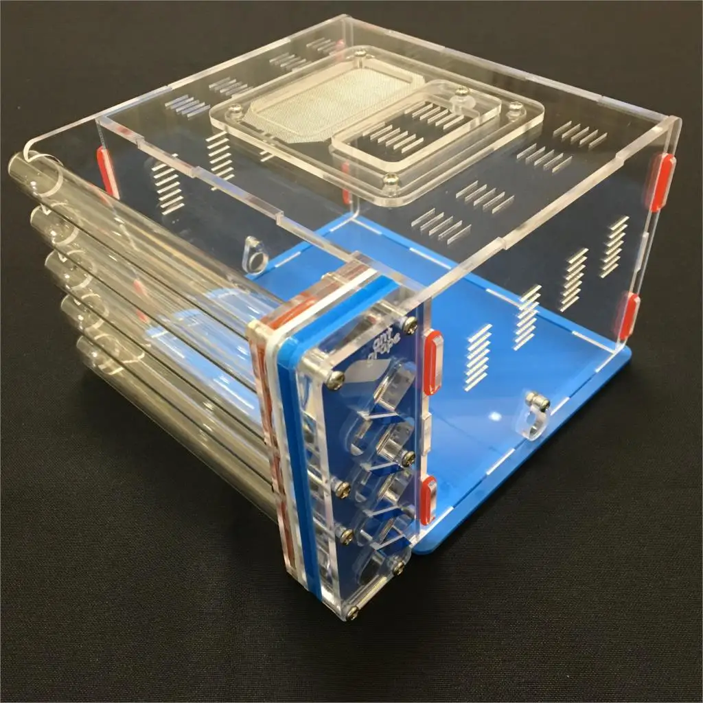 5 tube design big DIY  with feeding area ant nest ,ant farm acryl, insect ant nests villa pet mania for house ants