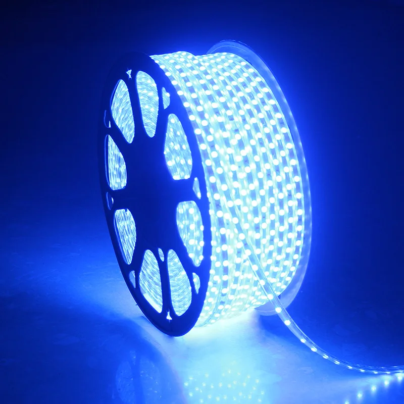 220V LED Strip Light Waterproof RGB Strip Led Ribbon 5050 Led Tape 220 Flexible Led Strip 220v 60Leds/M Lighting with EU Plug