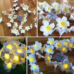 Гавайская пена искусственный Плюмерия цветок светодио дный светодиодные гирлянды спальня домашний декор батарея работает сказочные огни