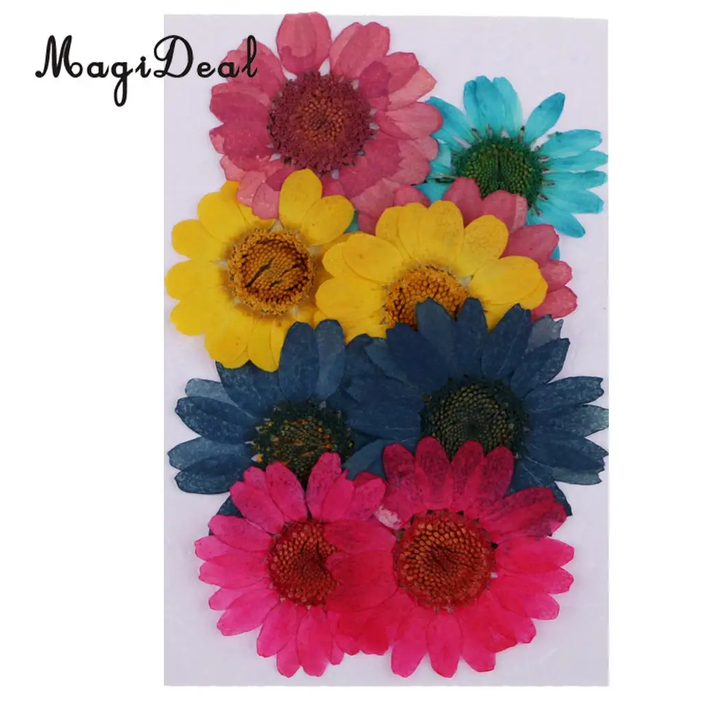20pcs Real Dried Flowers Pressed  Chrysanthemum for Wedding Decoration Scrapbooking DIY Arts Crafts Floral Decor