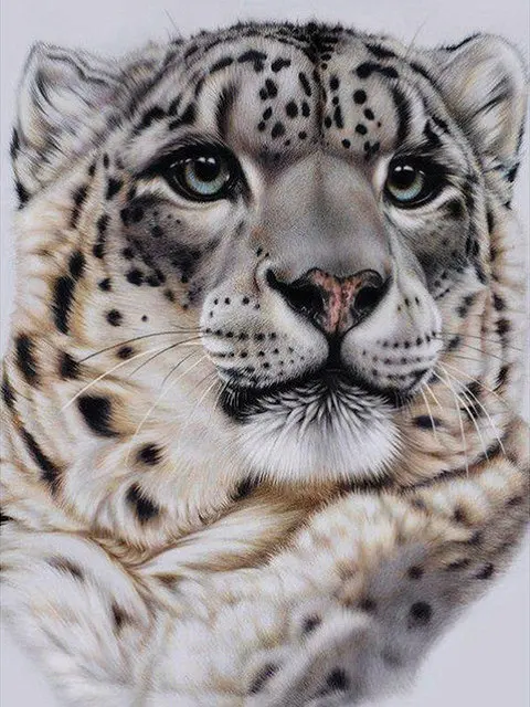 5D-DIY-Full-Drill-Diamond-Painting-Tiger-Pattern-Diamond-Embroidery-Needlework-Mosaic-Cross-Stitch-Sticker-Hobby.jpg_640x640