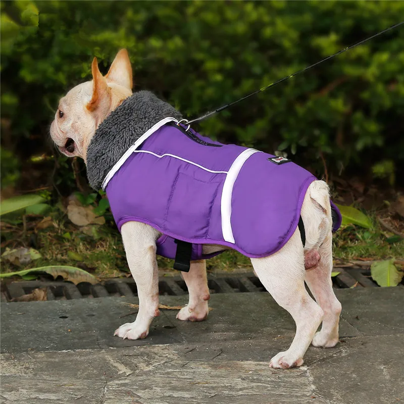 Одежда для собак зимняя водонепроницаемая уличная куртка для собак утолщенная теплая куртка для собак для маленьких средних и больших собак Регулируемая Одежда для домашних животных 3XL - Цвет: purple
