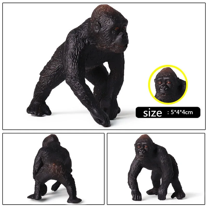 Gorilla (6)