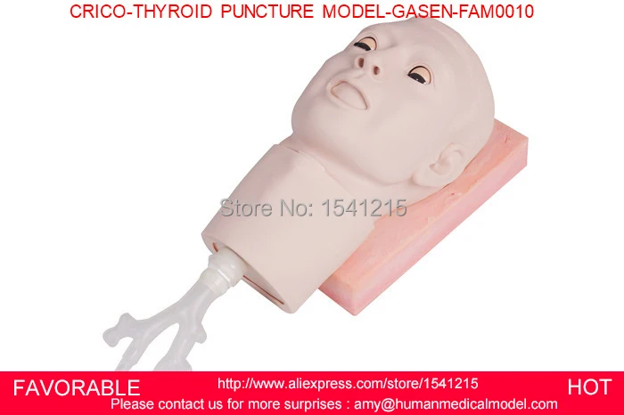 NURSING MODEL,MEDICAL TRAINING MODEL,PUNCTURE MANIKIN,HIGH FIDELITY SIMULATION AND CRICO-THYROID PUNCTURE MODEL-GASEN-FAM0010 NURSING MODEL,MEDICAL TRAINING MODEL,PUNCTURE MANIKIN,HIGH FIDELITY SIMULATION AND CRICO-THYROID PUNCTURE MODEL-GASEN-FAM0010