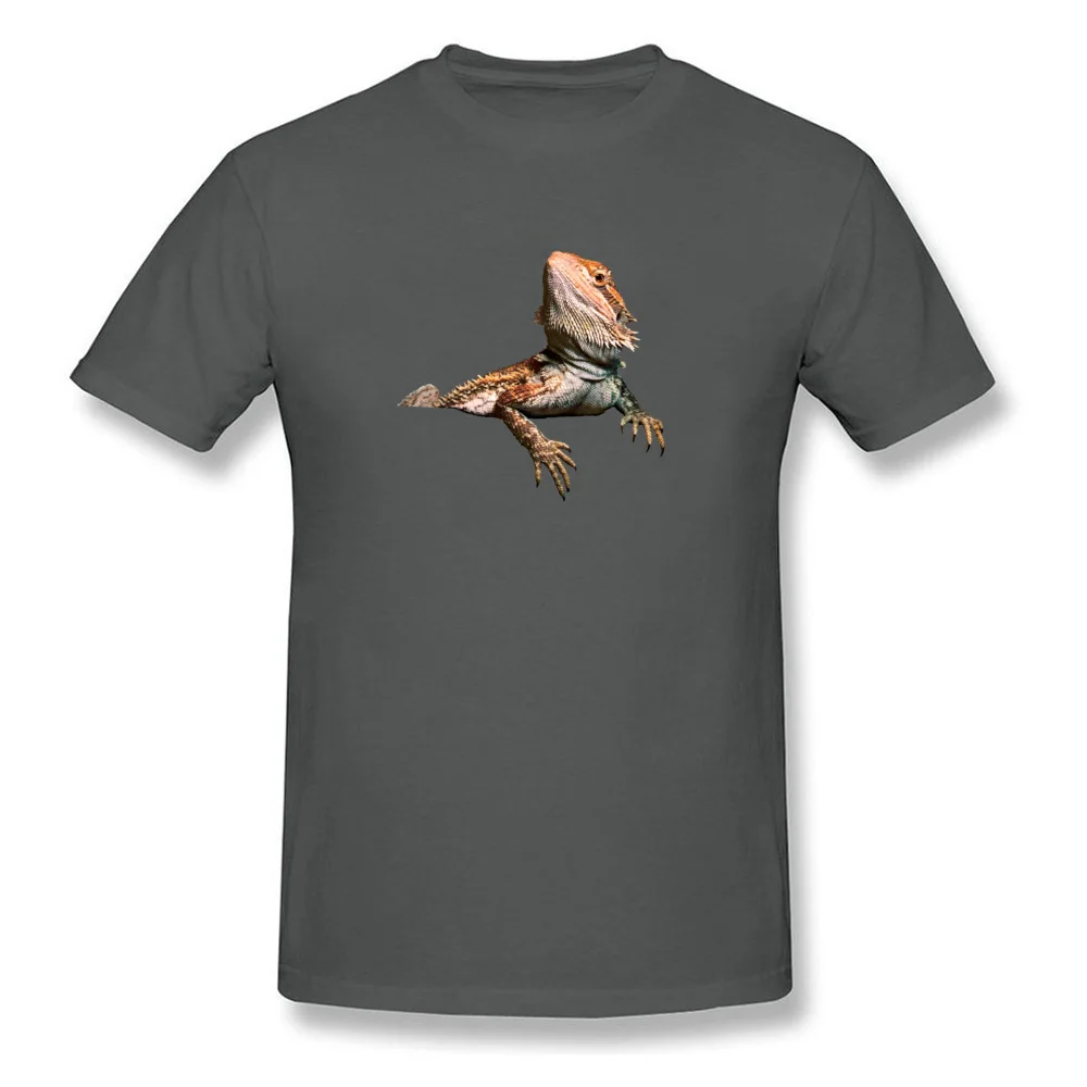 Bearded-Dragon-PNG-Transparent-Image_carbon