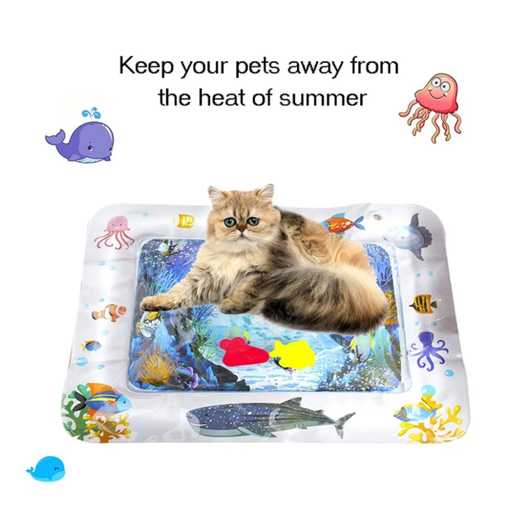 CCS90319003_2019031911575706619