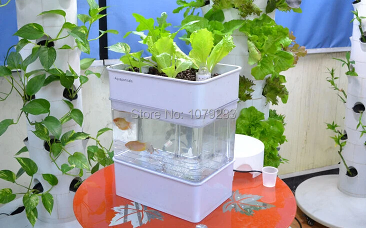 AQUAPONICS аквариум с растениями растущая кровать, система полива рециркуляции