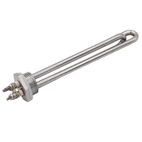 Élément chauffant 12v 24v 36v 48v 300W 600W SUS304 DN25 DC, chauffage tubulaire solaire/électrique pour eau d'immersion 3