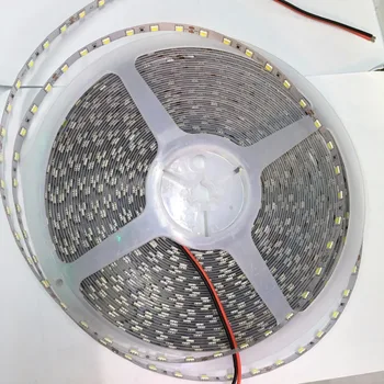 

DC24V 20m/reel LED Strip 5050 60LEDs/m Warm White/ White/ RGB 1200LEDs/20M Non-waterproof