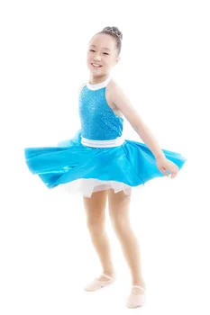 

2018modal Promotion Sale Justaucorps Ballet Dress For Children Leotard Ballet Tutu Skirt Girls Dress Children Dance Veil Winter