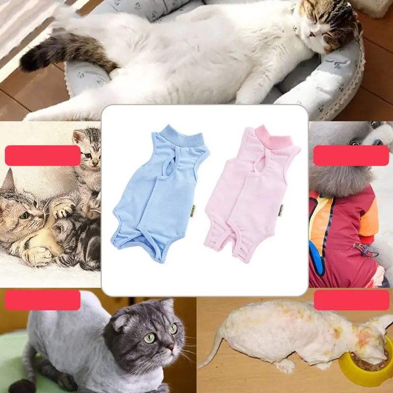 Pet Cat Recovery Suit Sterilization Care Prevent Lick After Surgery