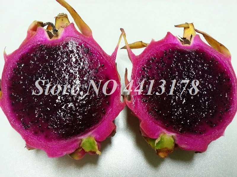 200 Pcsbag Red Pitaya Bonsai Dragon Fruit Garden Tree Delicious