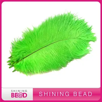 

Free shipping+80pcs+50-55cm+Latest fashion colorful ostrich feather cheap