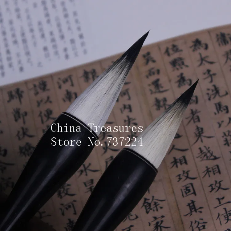 2 шт./лот щетка для живопись Птицы и цветы в руки кисть работы Xie Yi Хуа Niao Мао Bi кисть для китайской живописи