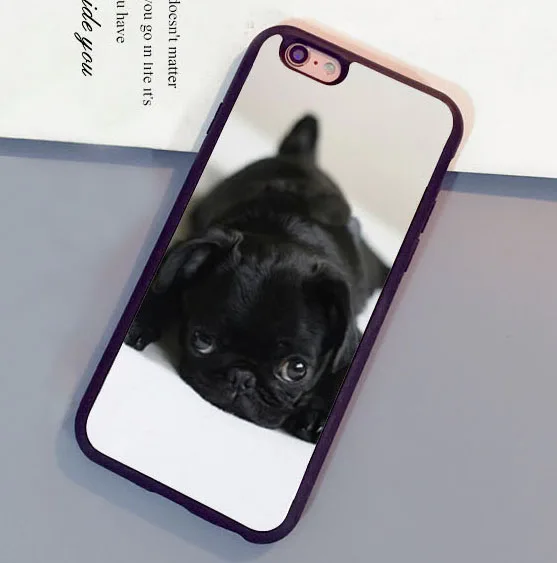black pug phone popular black pug puppies buy cheap black pug puppies lots from china black pug black pug phone popular black pug puppies buy cheap black pug puppies lots from china black pug