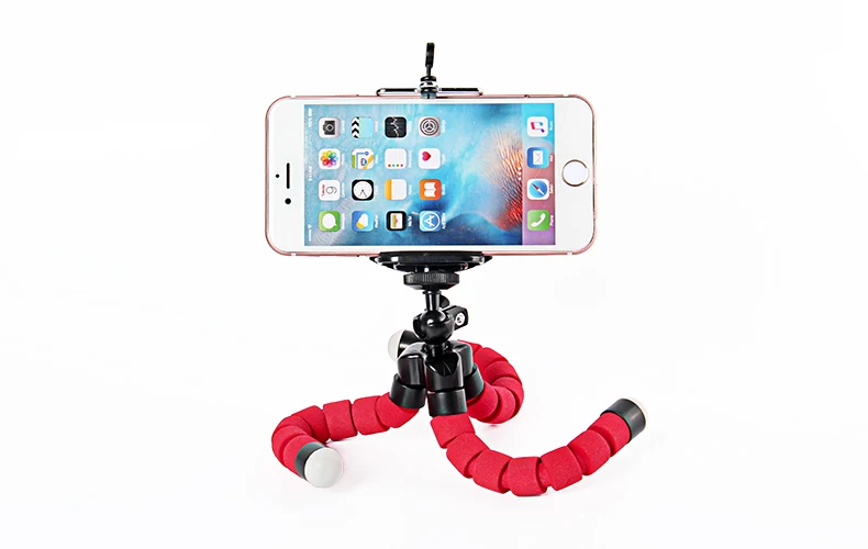 Octopus Tripod (2)