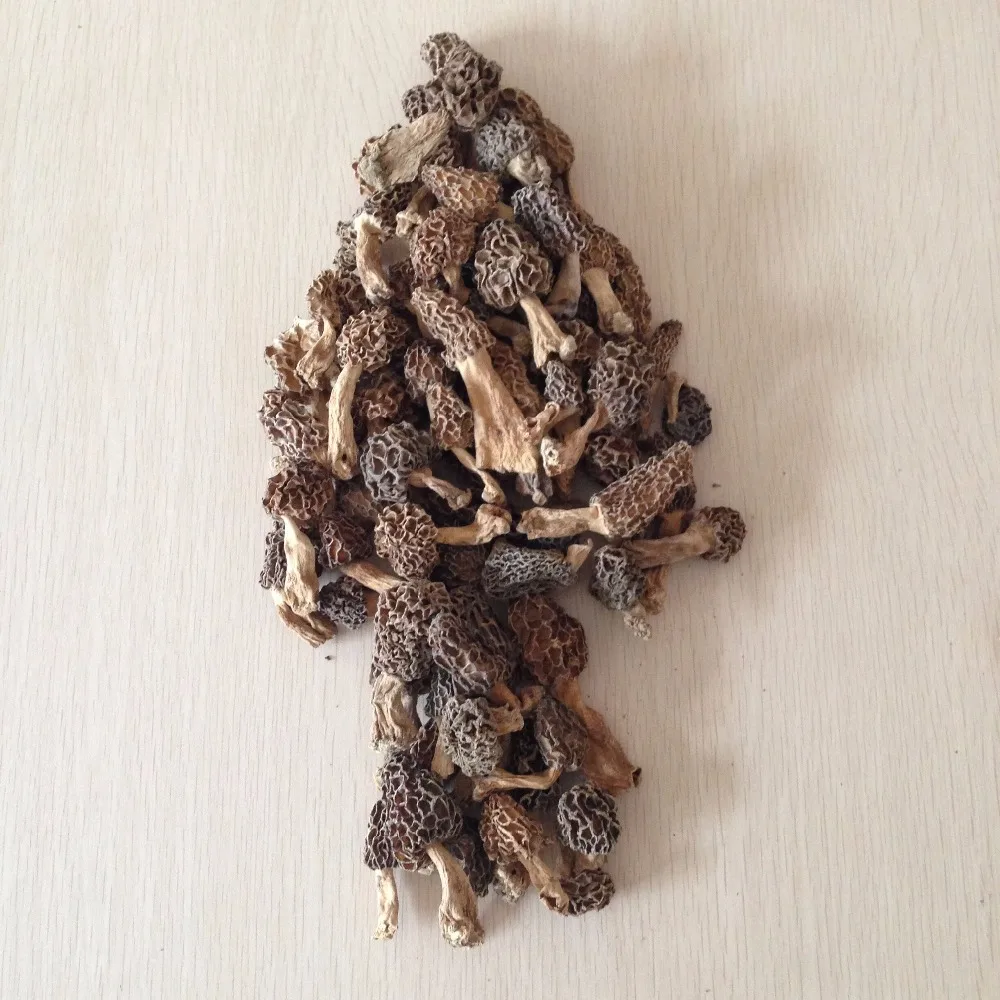 Online Buy Wholesale morel mushrooms from China morel mushrooms