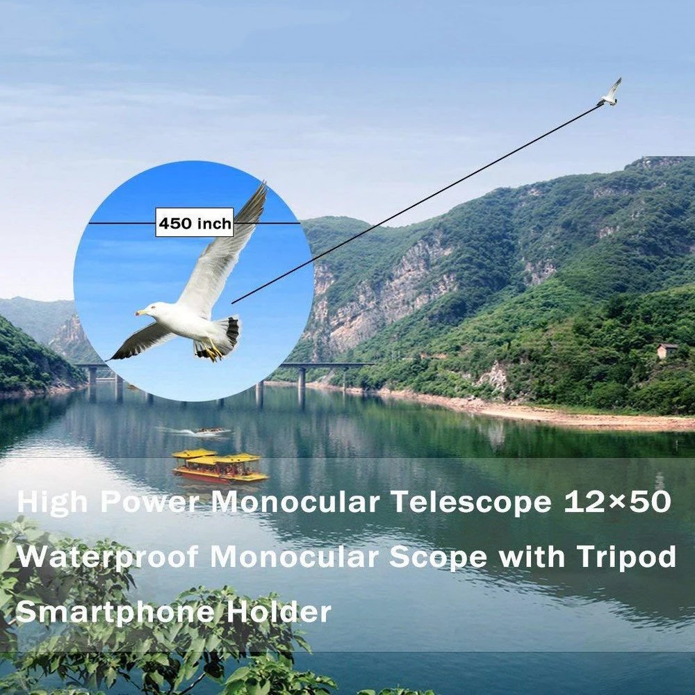 monocular (10)