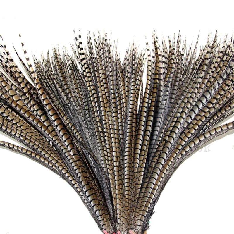 

Elaborate 50-110 cm 20-44 inch Lady amherst tail pheasant feather for carnival design decoration