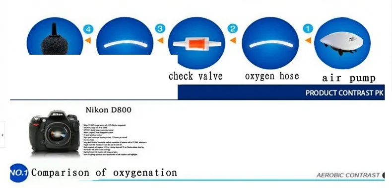 03_conew1