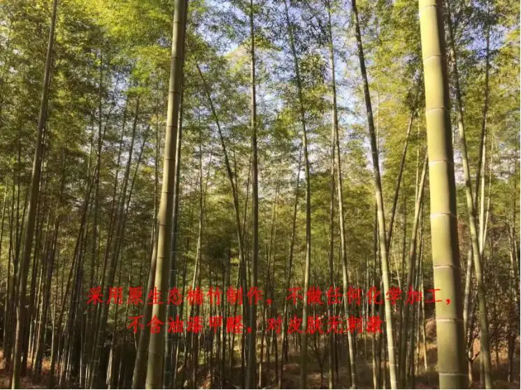 QQ20190414203618