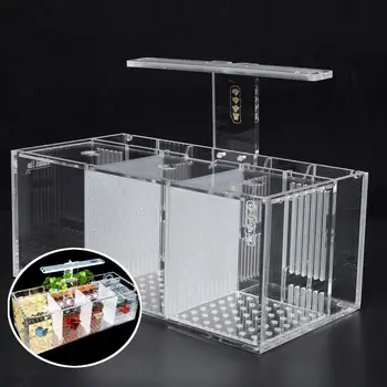 

Aquarium Pet Betta Fish Tank Acrylic Transparent Isolation Free Water Pump Filters Clear Bucket Fish Tank Desktop LED Light