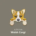 WELSH CORGI