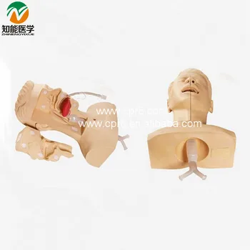 

Advanced Suction Training Model(Medical Model) BIX-H85 W167