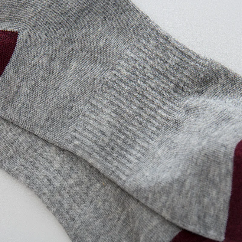 4515554595_1364846241