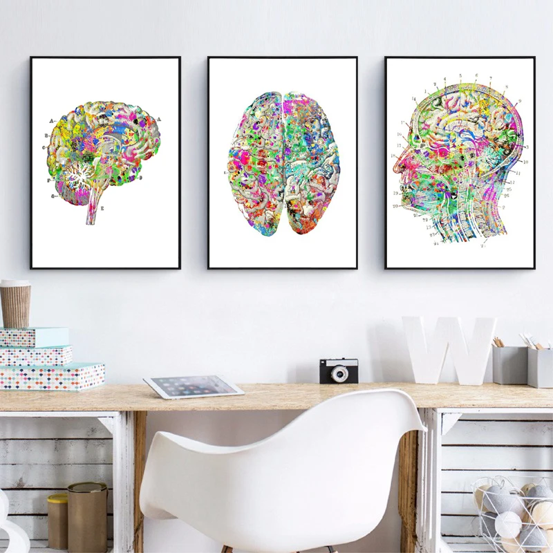 Medical School Student Graduation Gift Medical Student Gift Neuron Custom Frame Anatomy Medical Gift for Brain Doctor /& Surgeon