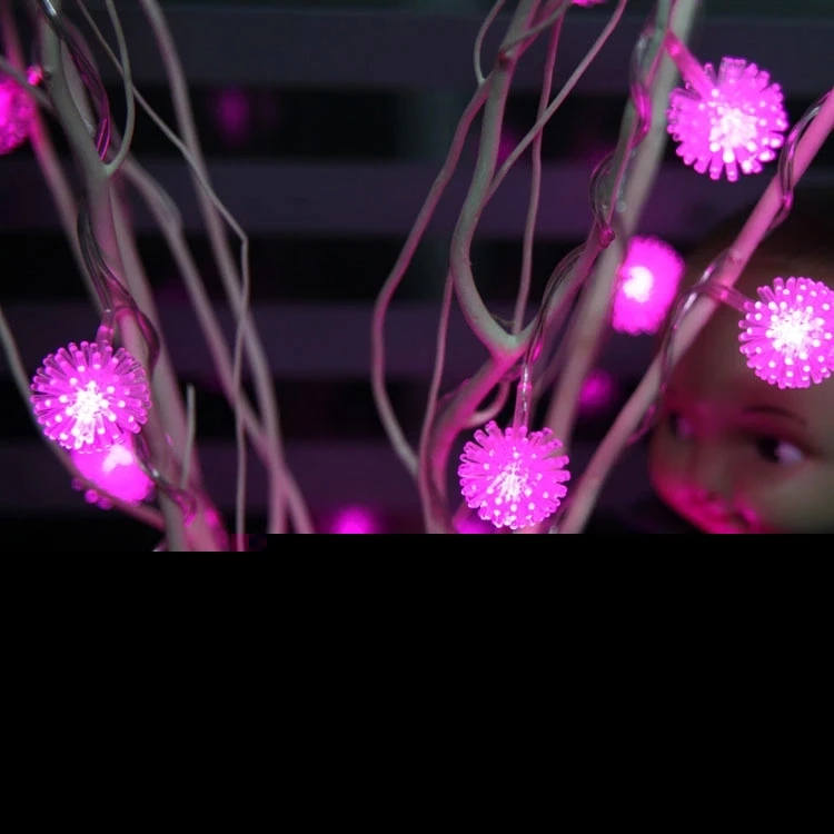 Сушеные цветы дерево LED свет естественные ветви 25 Edelweiss Снежинка клубничное
