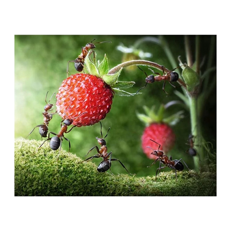 Ants move strawberries Diamond Painting Decorative Painting Rhinestone Cross Stitch Diamond embroidery Flower needlework 