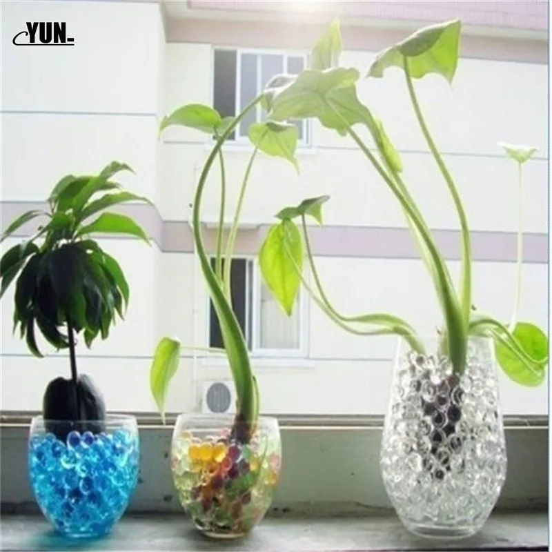 1000pcs Large Hydrogel Pearl Shaped Crystal Soil Water Beads Mud Grow Ball Wedding Kids Toy YQ001 Growing Water Balls 8D (3)