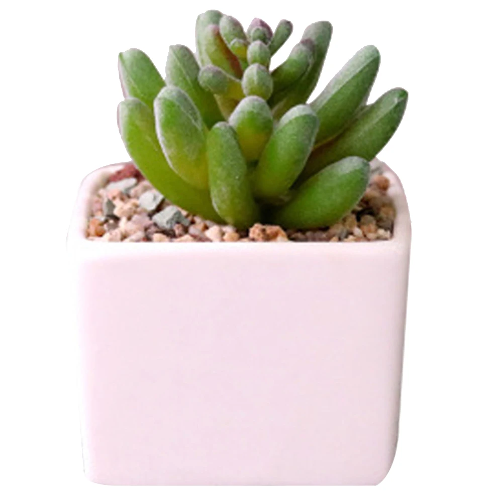 

Ceramic Pot Party Desktop Gift Bonsai Wedding Square Home Decor Landscape Mini Green Plants Artificial Succulent Fake Garden