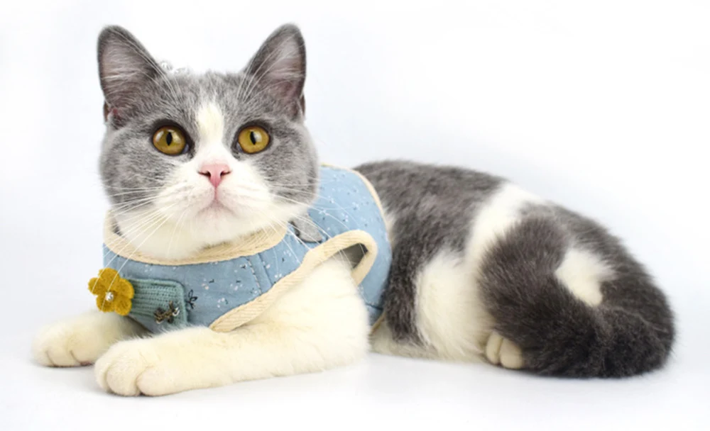 cat harness