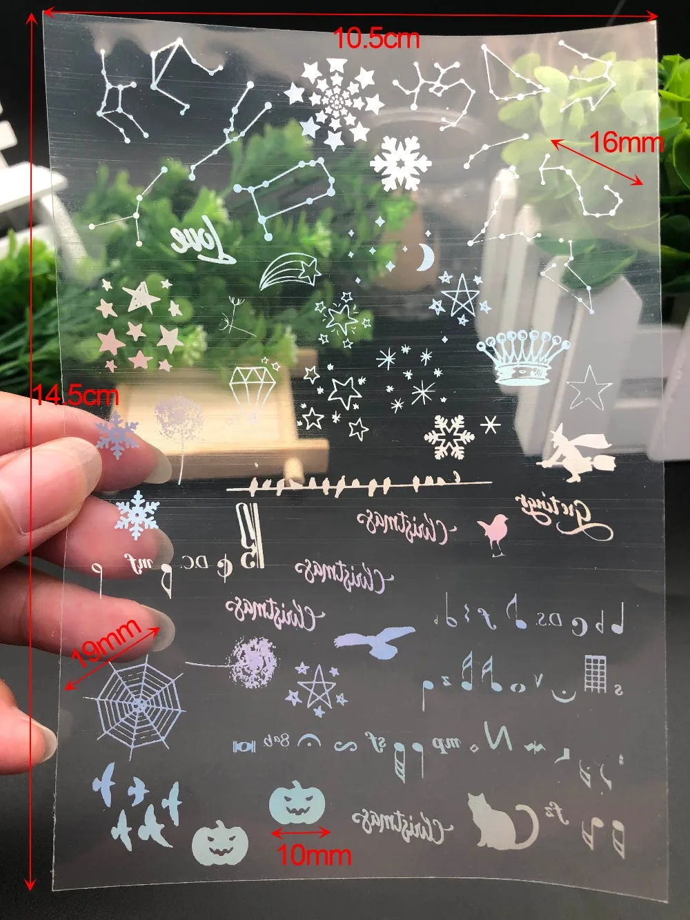 蜘蛛贴纸