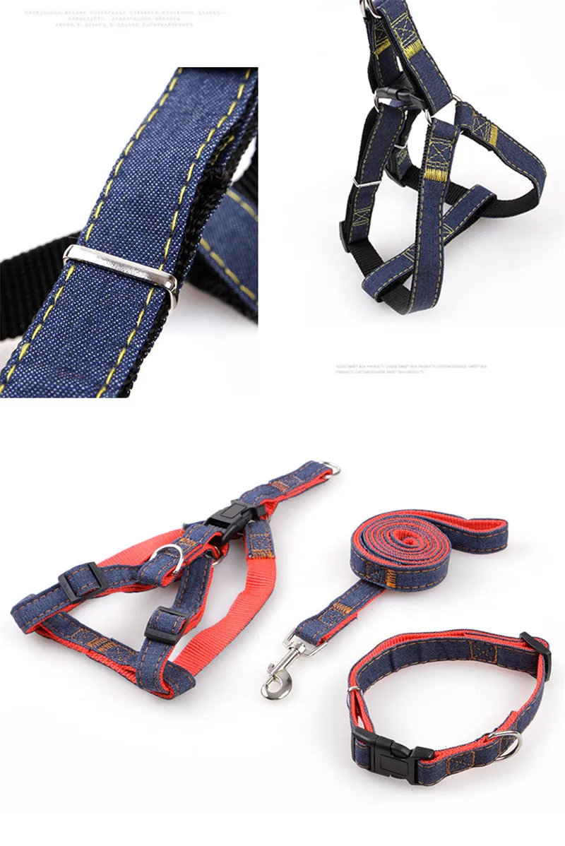 harness leash (12)