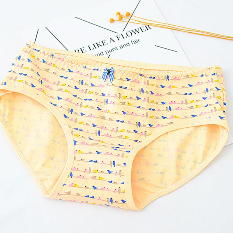 QUECOO 5pcs/lots Combo set lovely sexy cartoon printing underwear cotton comfortable women's underwear panties ww-62