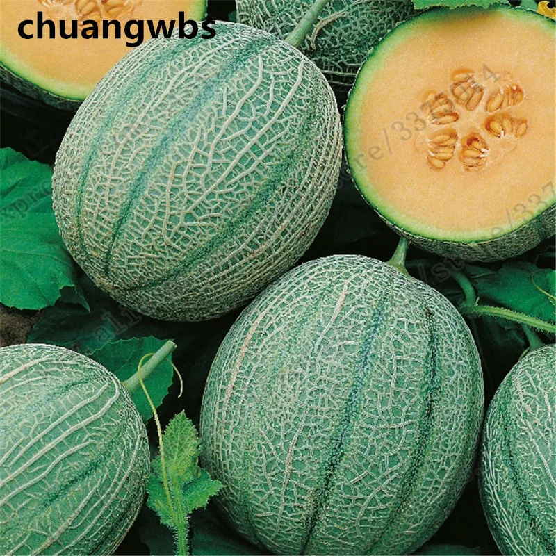 

30pcs / bag for Fruit Hami melon sweet juicy organic fruit cantaloupe plant home garden Health and Nutrition