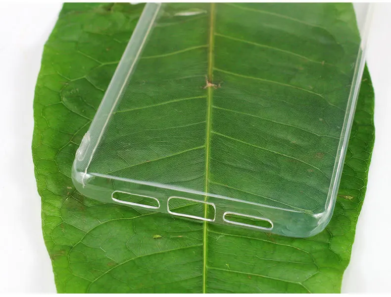 D (5)